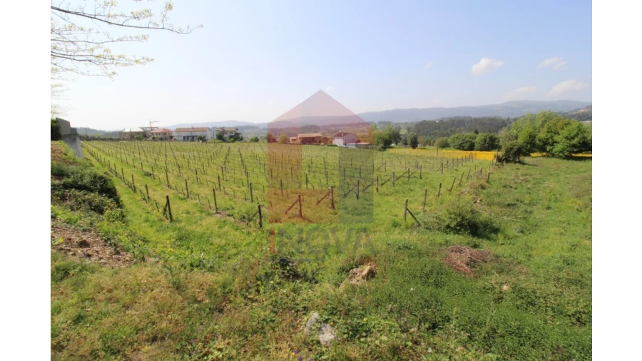Terreno para Venda em Caldelas, Sequeiros e Paranhos Foto 21