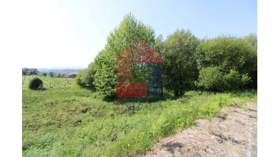 Terreno para Venda em Caldelas, Sequeiros e Paranhos Foto 4