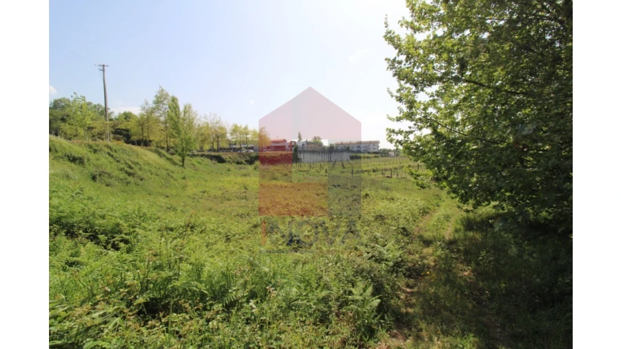 Terreno para Venda em Caldelas, Sequeiros e Paranhos Foto 9