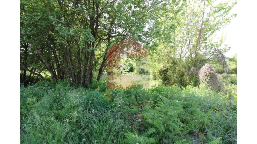 Terreno para Venda em Caldelas, Sequeiros e Paranhos Foto 10