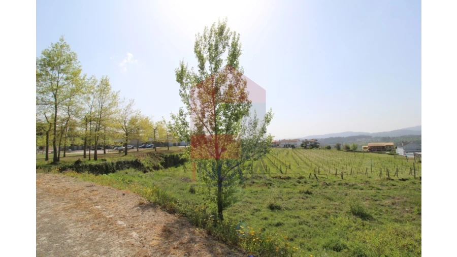 Terreno para Venda em Caldelas, Sequeiros e Paranhos Foto 19