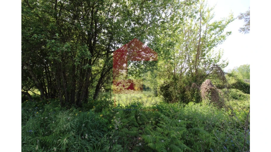 Terreno para Venda em Caldelas, Sequeiros e Paranhos Foto 11