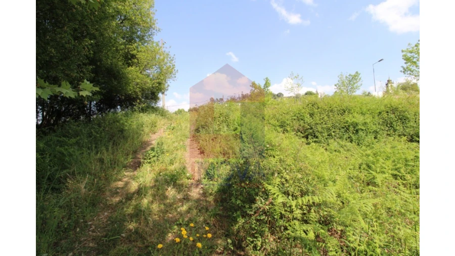 Terreno para Venda em Caldelas, Sequeiros e Paranhos Foto 15