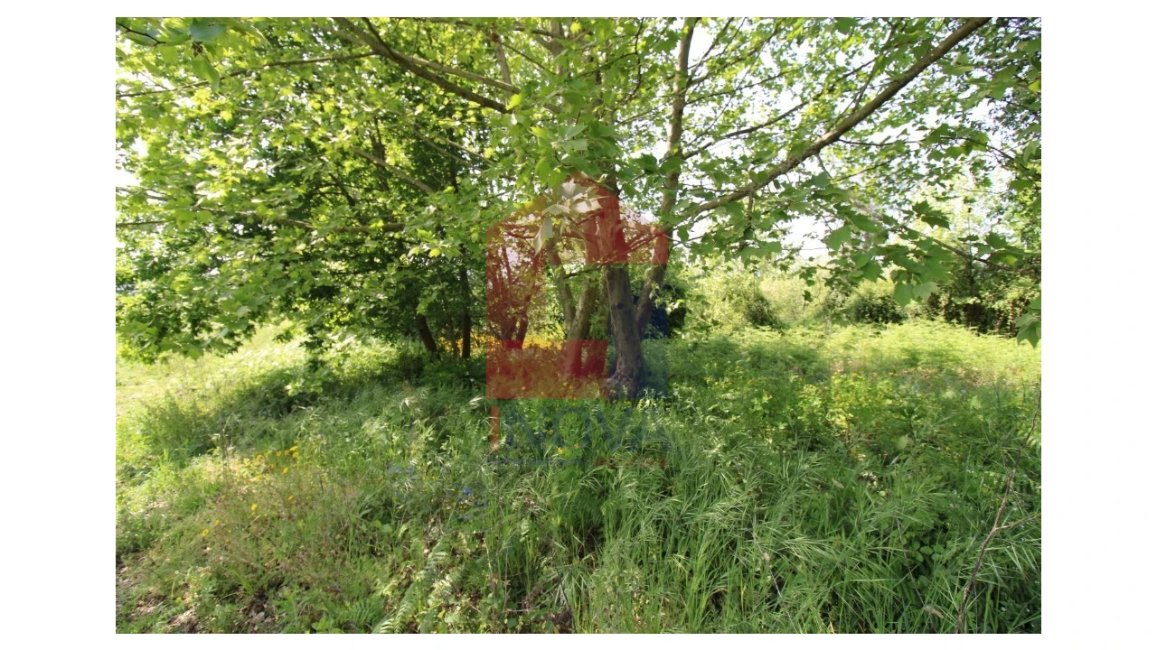 Terreno para Venda em Caldelas, Sequeiros e Paranhos Foto 12