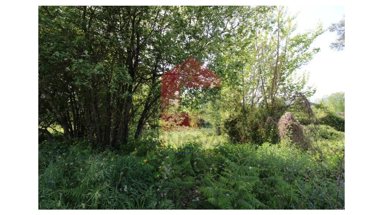 Terreno para Venda em Caldelas, Sequeiros e Paranhos Foto 11