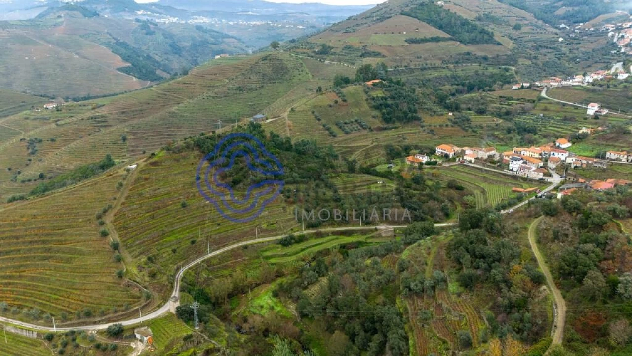 Terreno para Venda em Nogueira e Ermida Foto 10