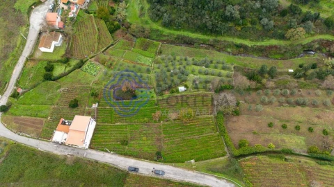 Terreno para Venda em Nogueira e Ermida