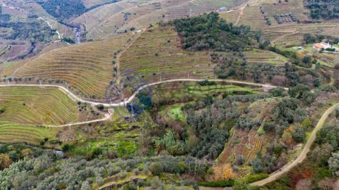 Terreno para Venda em Nogueira e Ermida
