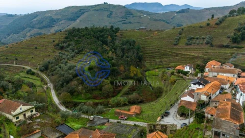 Terreno para Venda em Nogueira e Ermida