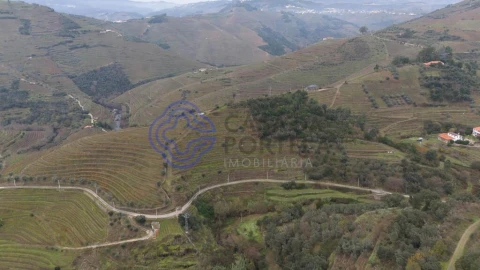 Terreno para Venda em Nogueira e Ermida