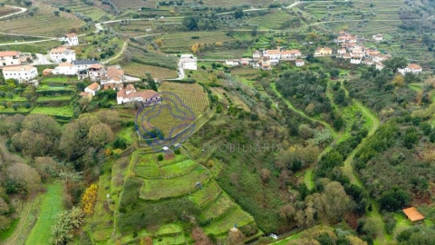 Terreno para Venda em Nogueira e Ermida