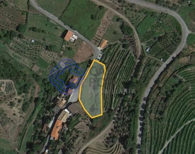 Terreno para Venda em Nogueira e Ermida Foto 8