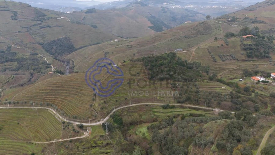 Terreno para Venda em Nogueira e Ermida Foto 12