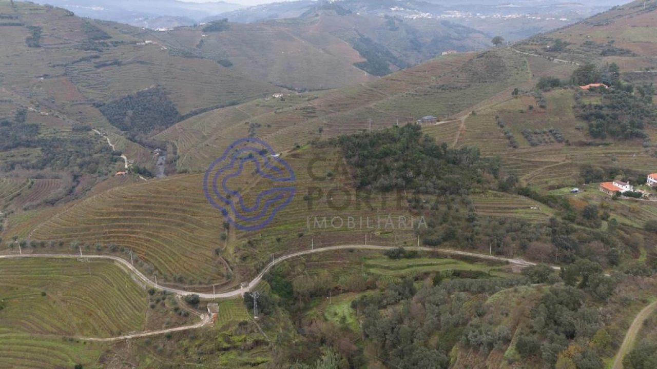 Terreno para Venda em Nogueira e Ermida Foto 12