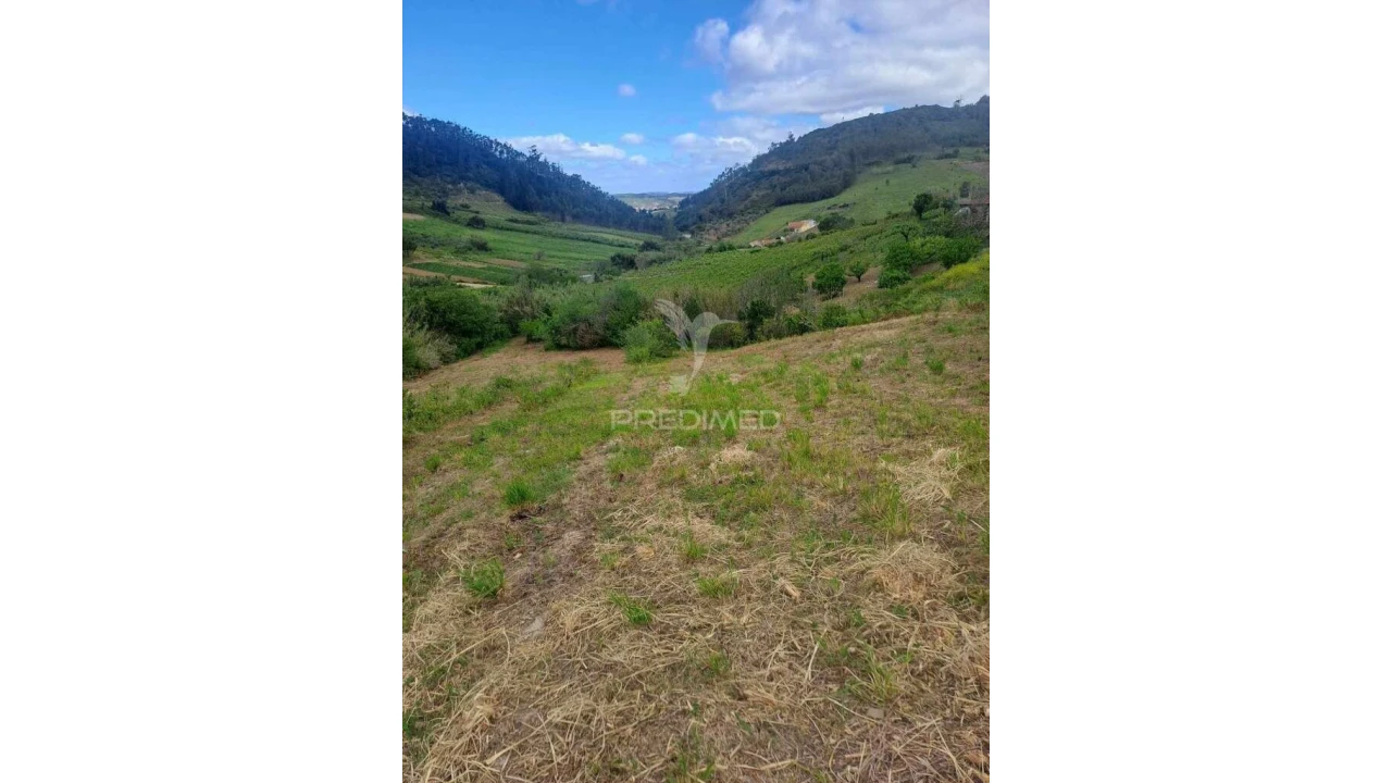 Terreno para Venda em Vilar Foto 2