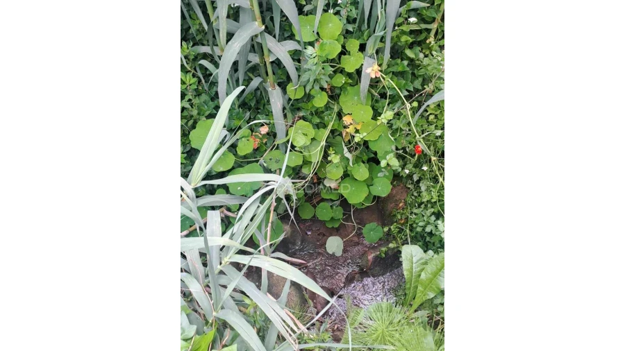 Terreno para Venda em Vilar Foto 3