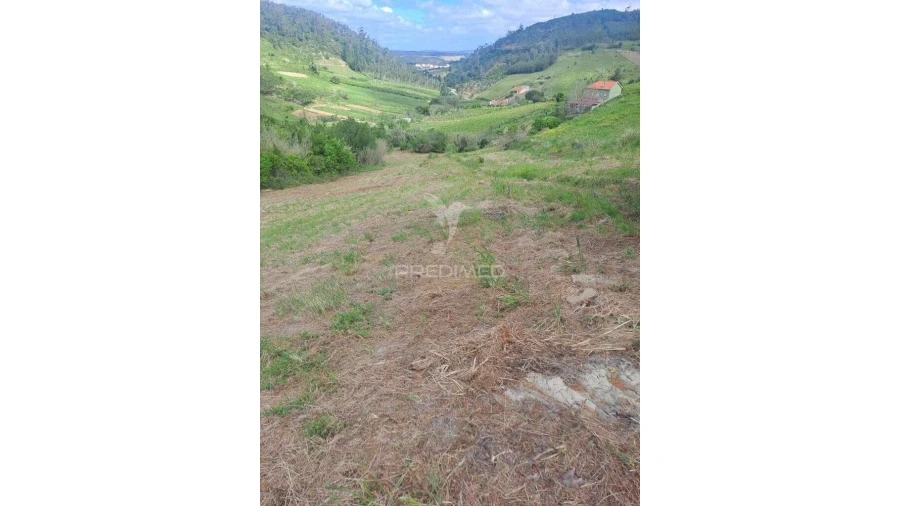 Terreno para Venda em Vilar Foto 1