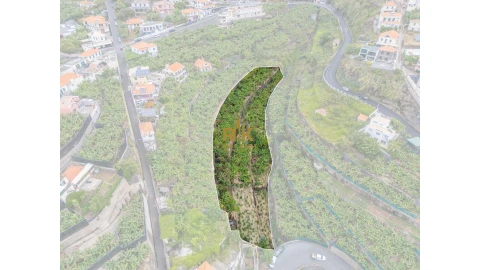 Terreno para Venda em Ponta do Sol