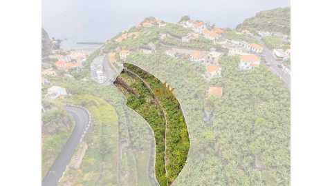 Terreno para Venda em Ponta do Sol