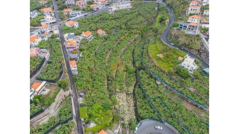 Terreno para Venda em Ponta do Sol