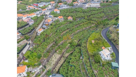 Terreno para Venda em Ponta do Sol