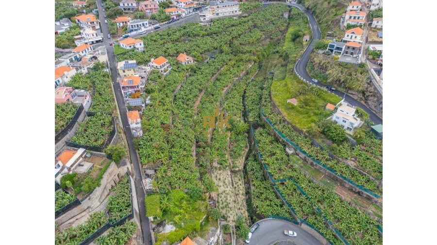 Terreno para Venda em Ponta do Sol Foto 12
