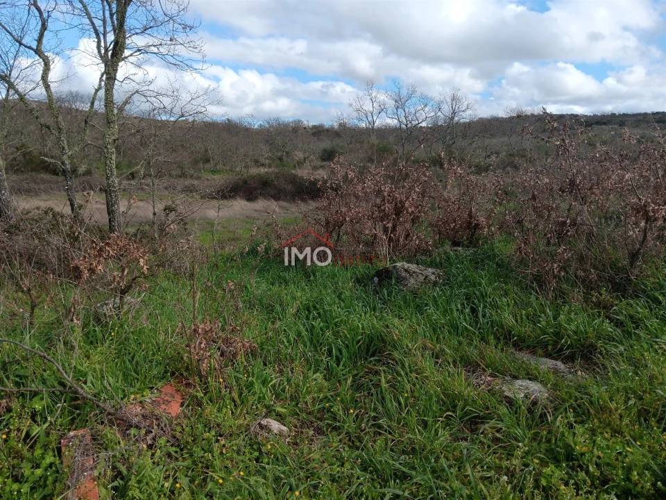 Terreno Agricola ou Rústico para Venda em Santa Maria da Devesa Foto 5