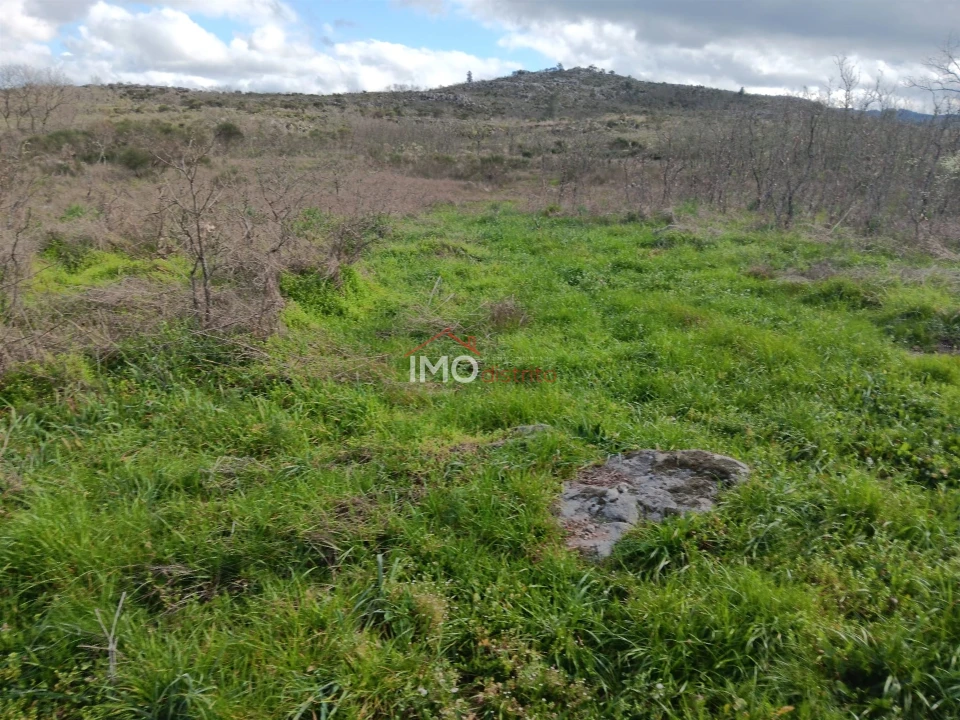 Terreno Agricola ou Rústico para Venda em Santa Maria da Devesa Foto 6