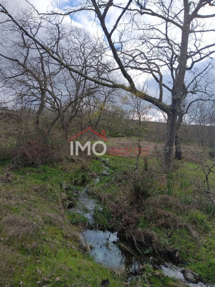 Terreno Agricola ou Rústico para Venda em Santa Maria da Devesa Foto 1