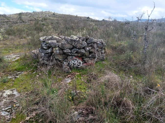 Terreno Agricola ou Rústico para Venda em Santa Maria da Devesa Foto 10