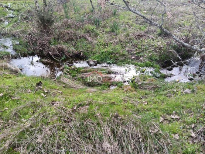 Terreno Agricola ou Rústico para Venda em Santa Maria da Devesa Foto 2