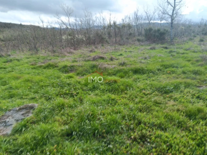 Terreno Agricola ou Rústico para Venda em Santa Maria da Devesa Foto 7
