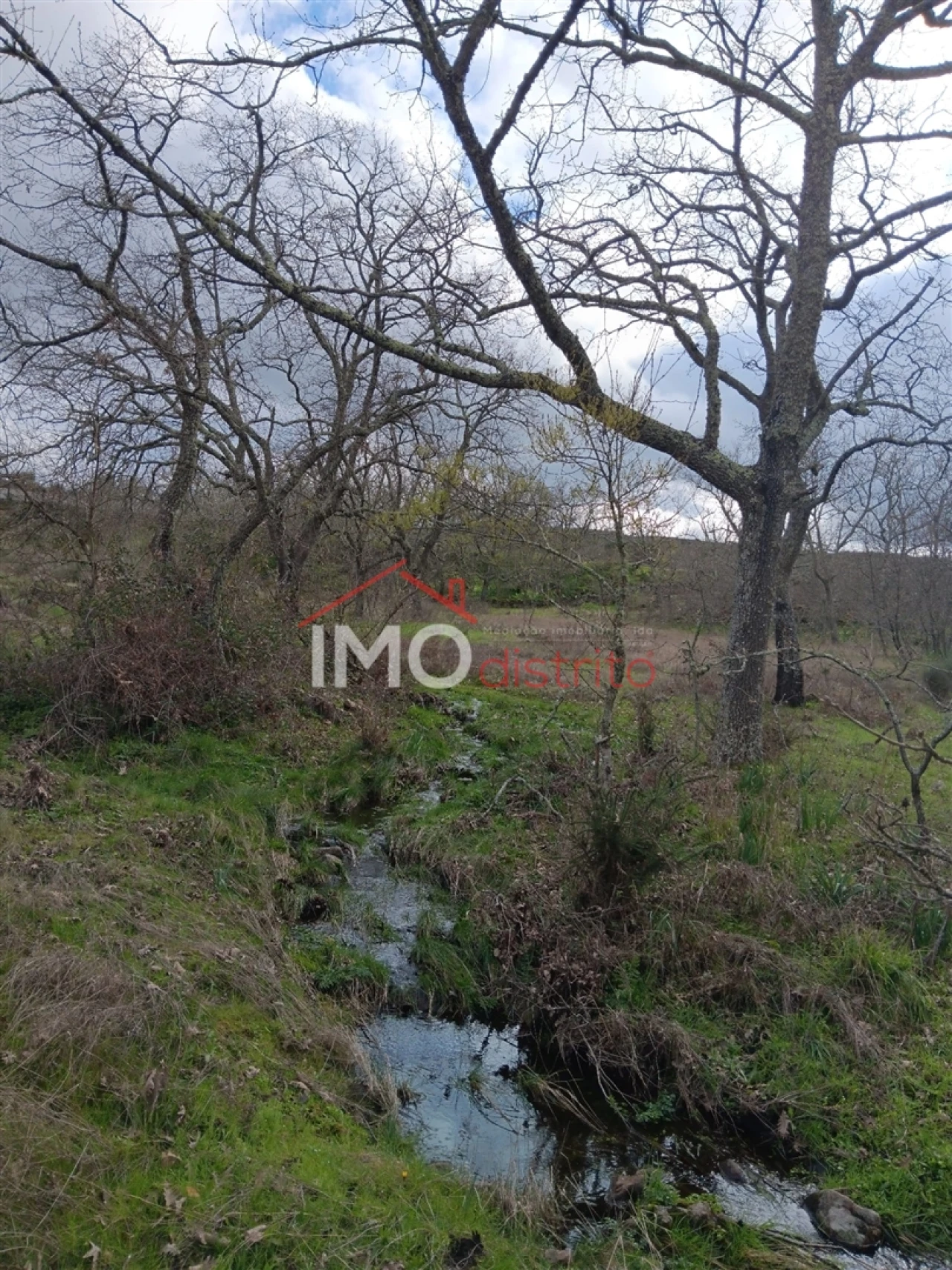 Terreno Agricola ou Rústico para Venda em Santa Maria da Devesa Foto 1