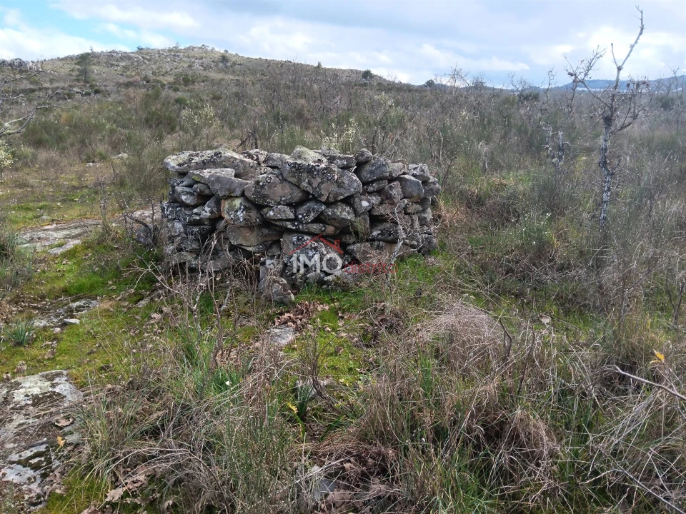 Terreno Agricola ou Rústico para Venda em Santa Maria da Devesa Foto 10
