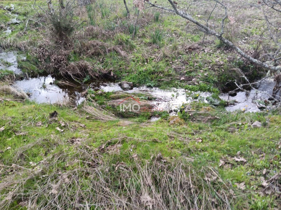 Terreno Agricola ou Rústico para Venda em Santa Maria da Devesa Foto 2