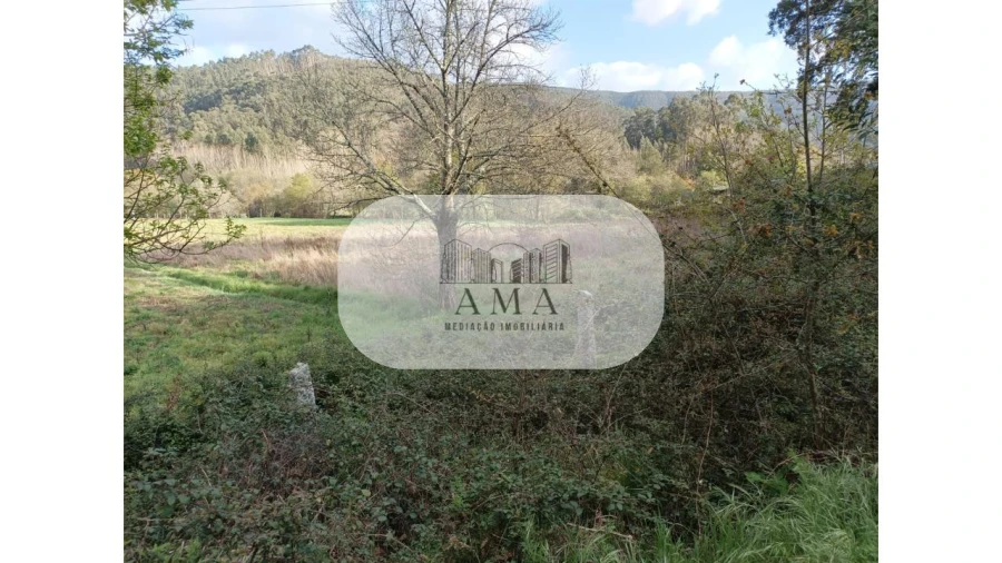 Terreno para Venda em Ossela Foto 3