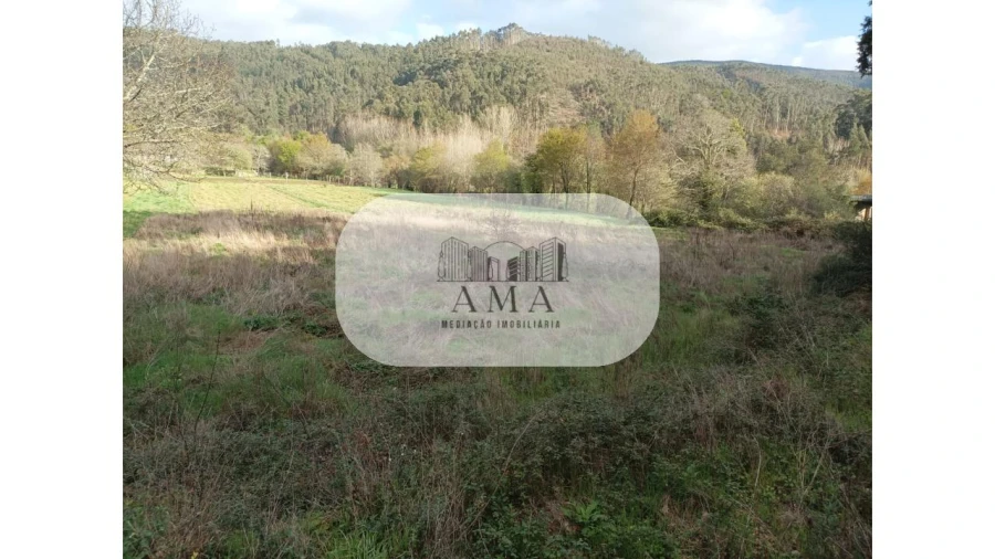 Terreno para Venda em Ossela Foto 6