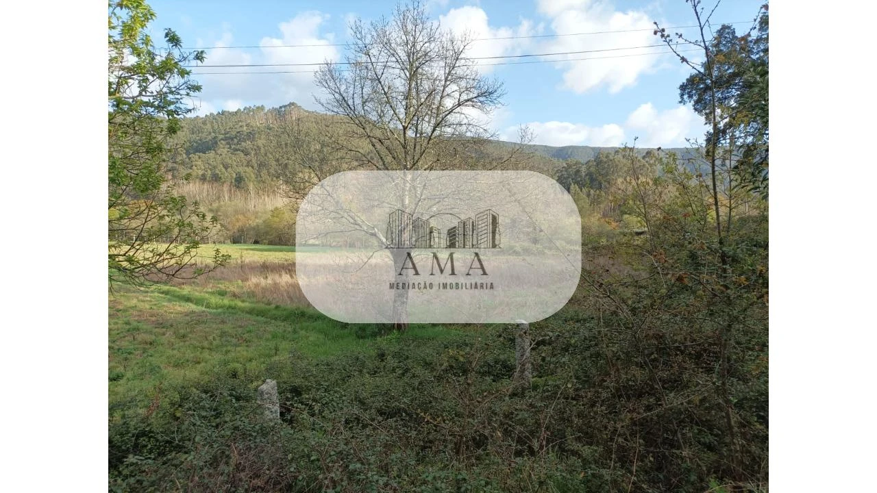 Terreno para Venda em Ossela Foto 1