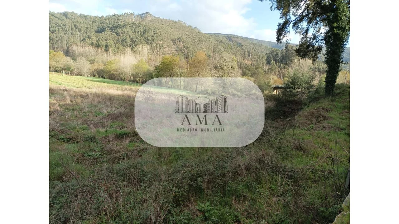 Terreno para Venda em Ossela Foto 4