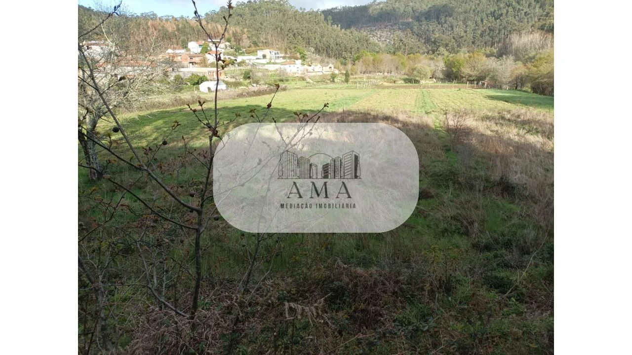 Terreno para Venda em Ossela Foto 5