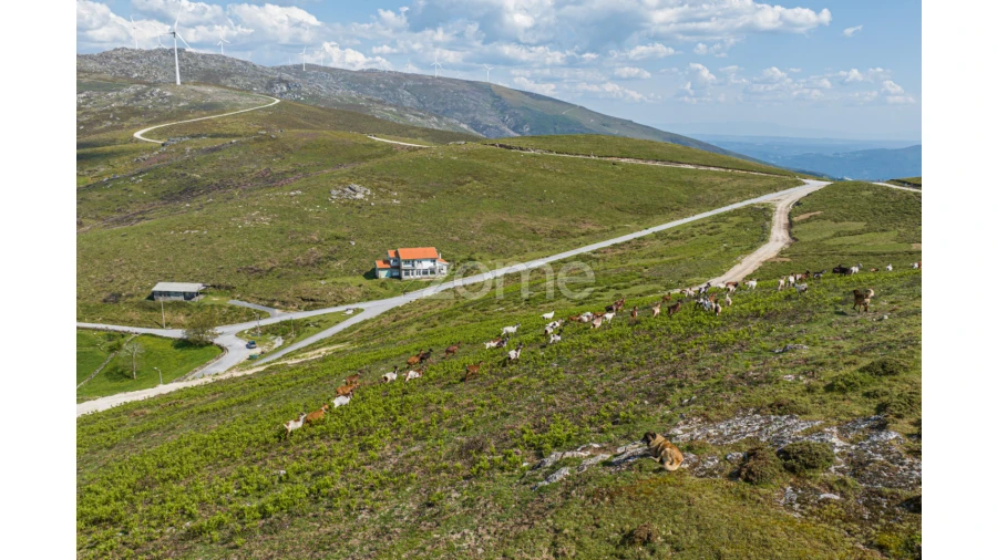 Moradia T6 para Venda em Tendais Foto 10