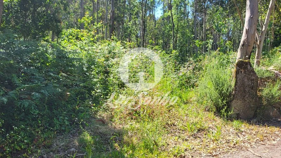 Terreno Agricola ou Rústico para Venda em Gião