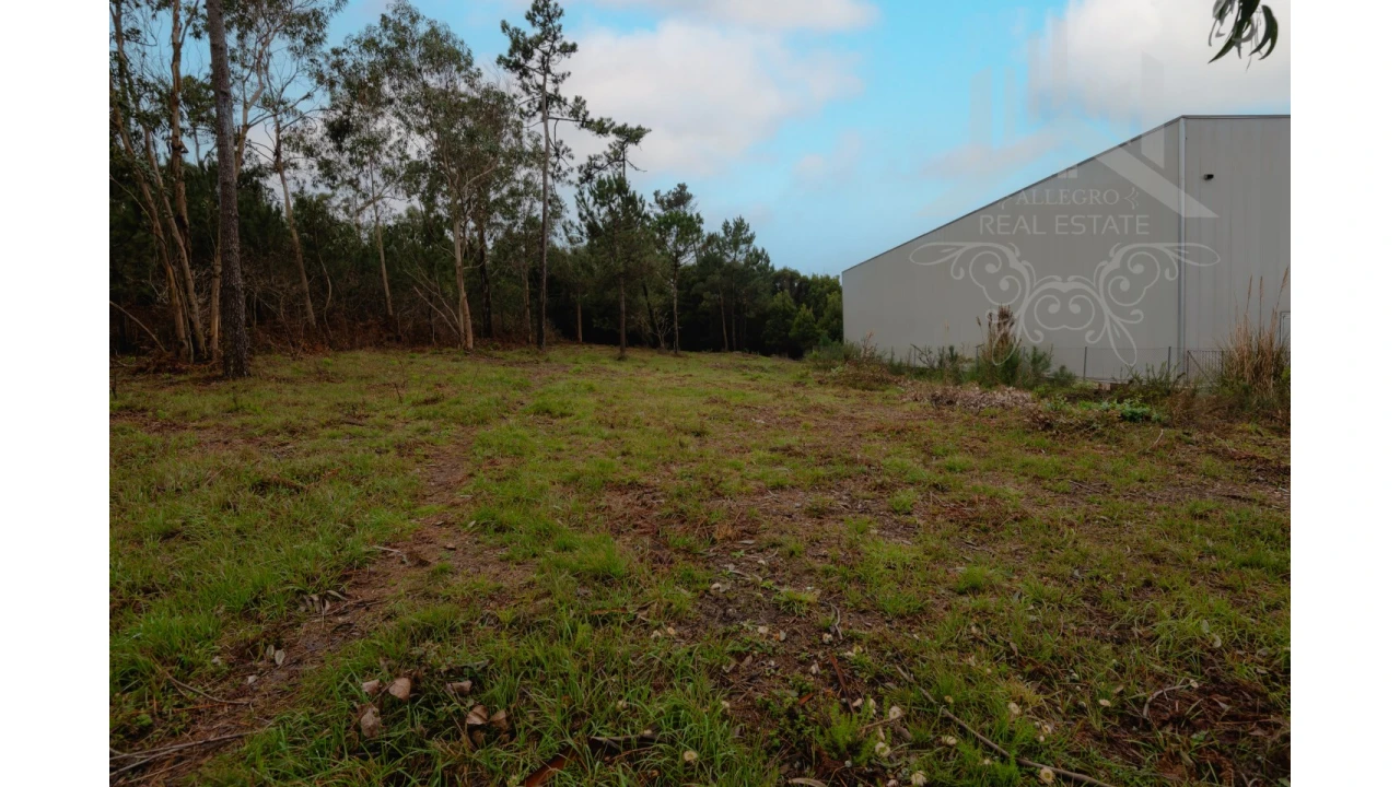 Terreno Misto para Venda em Perafita, Lavra e Santa Cruz do Bispo Foto 9