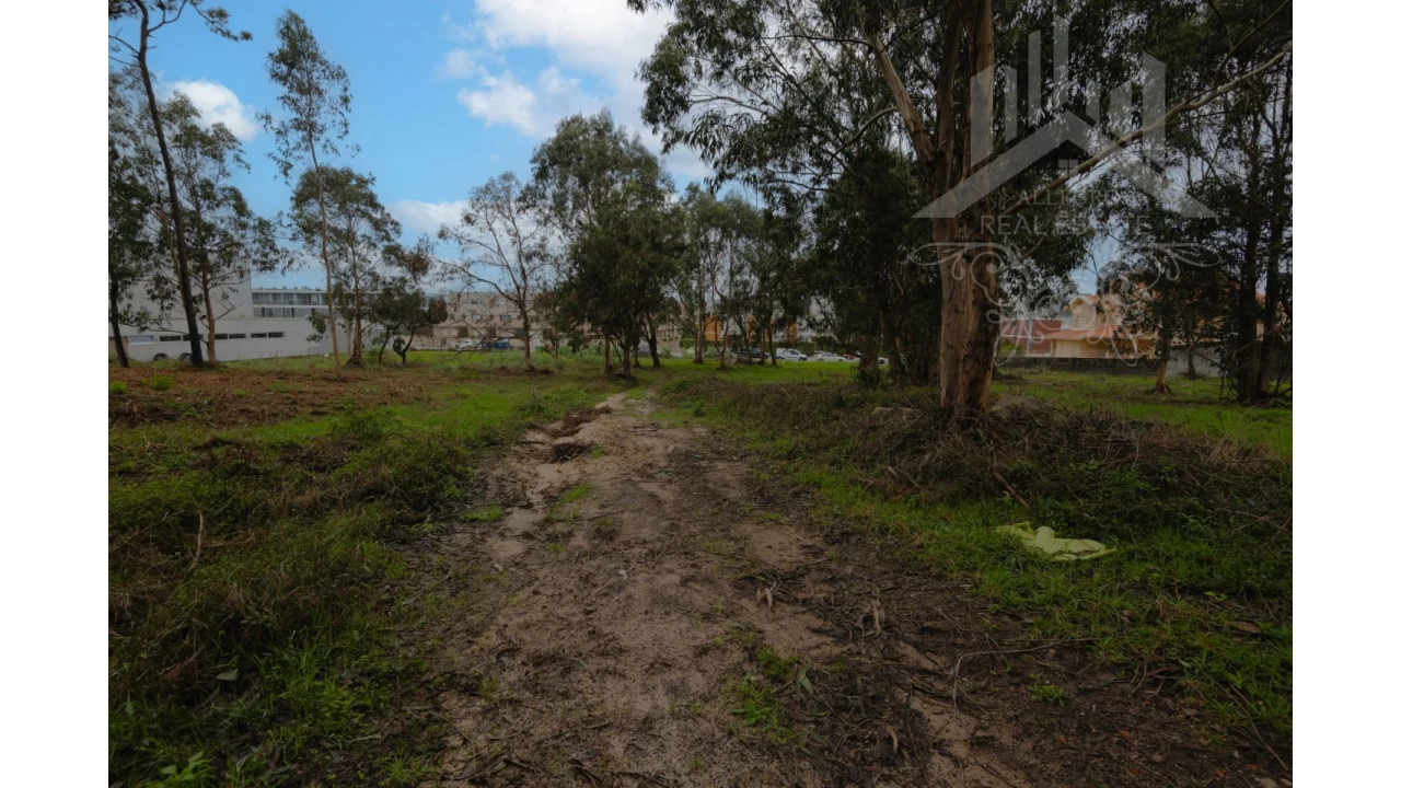 Terreno Misto para Venda em Perafita, Lavra e Santa Cruz do Bispo Foto 10