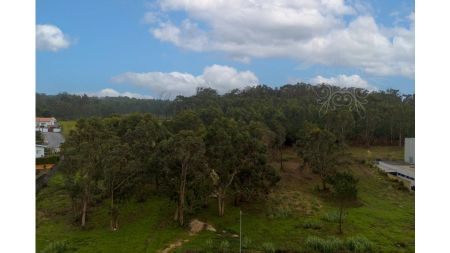 Terreno Misto para Venda em Perafita, Lavra e Santa Cruz do Bispo Foto 3