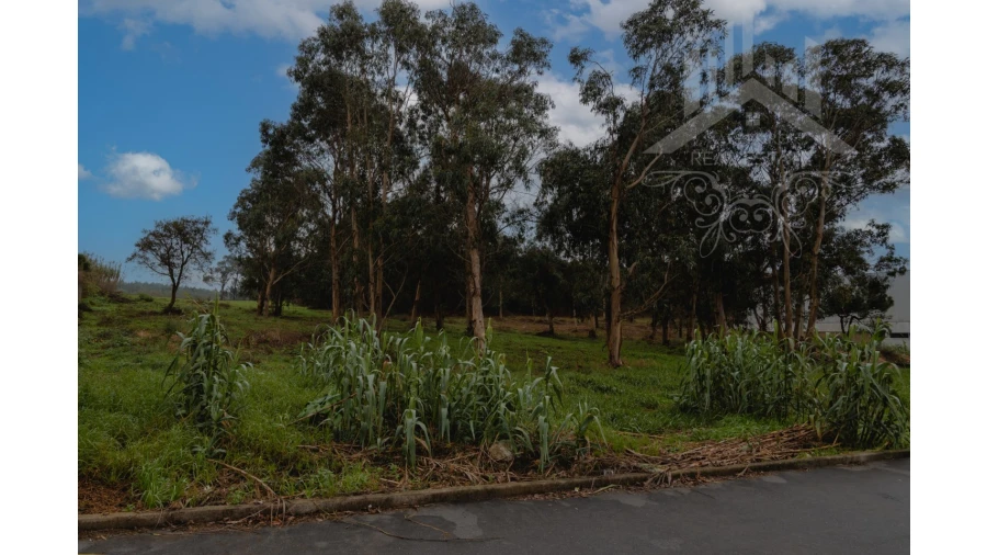 Terreno Misto para Venda em Perafita, Lavra e Santa Cruz do Bispo Foto 8