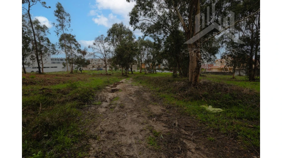 Terreno Misto para Venda em Perafita, Lavra e Santa Cruz do Bispo Foto 10
