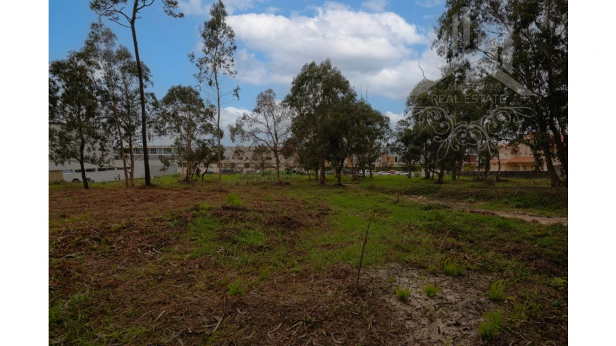 Terreno Misto para Venda em Perafita, Lavra e Santa Cruz do Bispo Foto 11