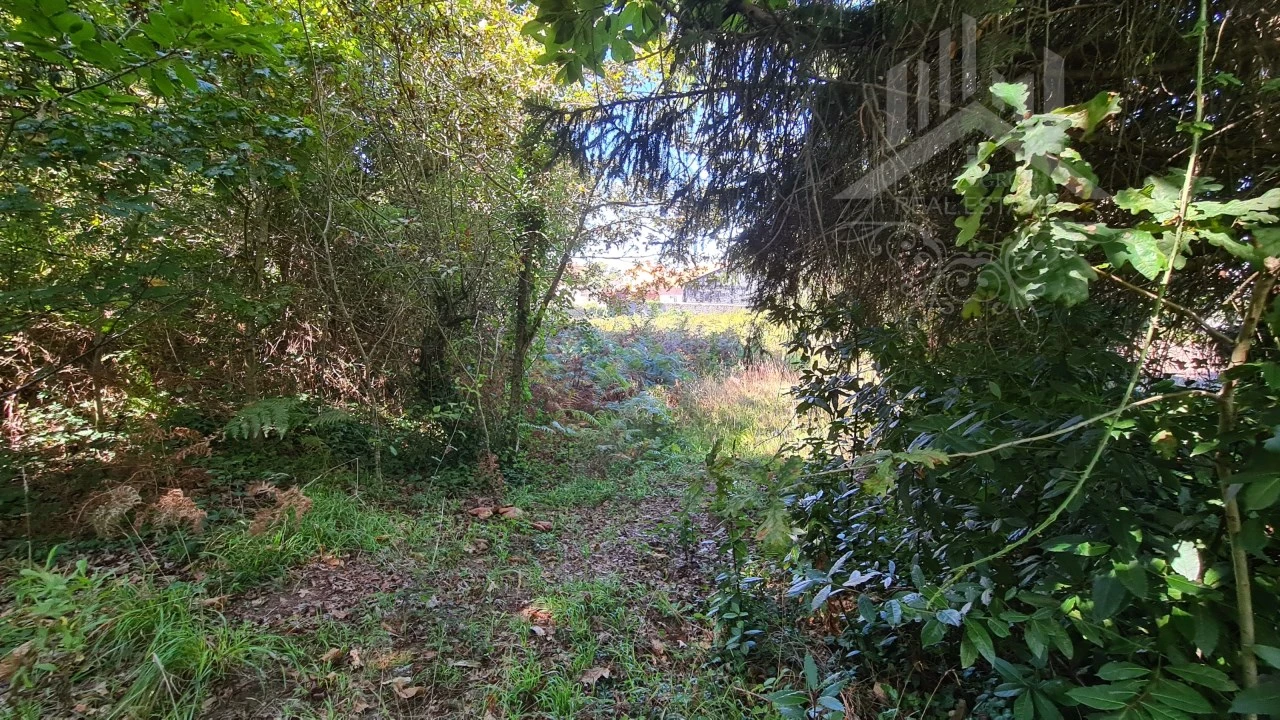 Terreno para Venda em Grijó e Sermonde Foto 17