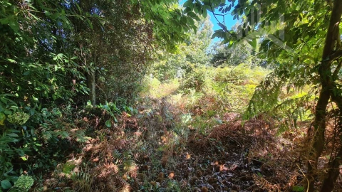 Terreno para Venda em Grijó e Sermonde